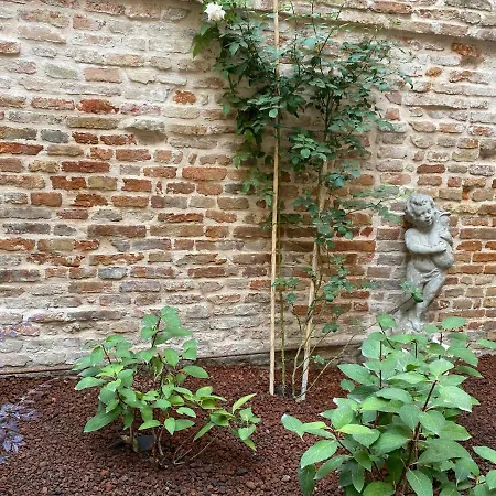 Ca' Del Pittor *
